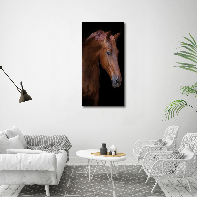 Tableau verre acrylique Portrait d'un cheval