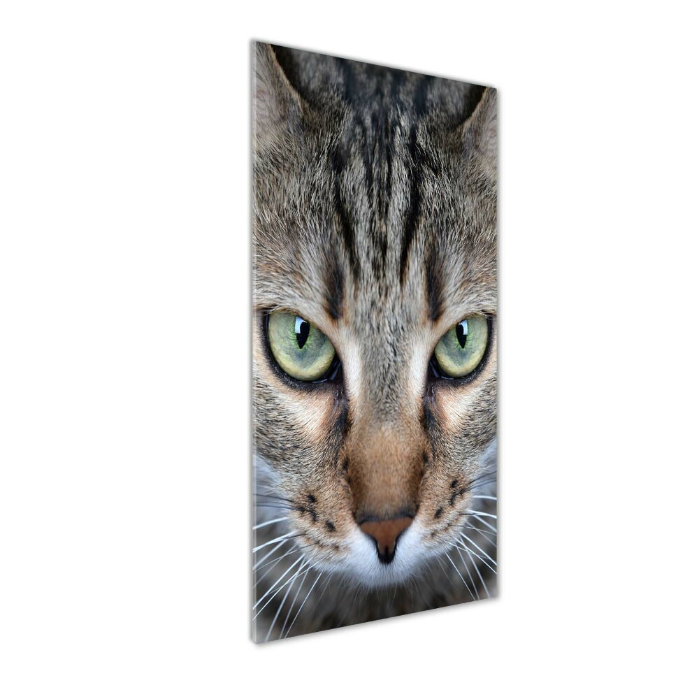 Tableau sur verre acrylique Yeux d'un chat