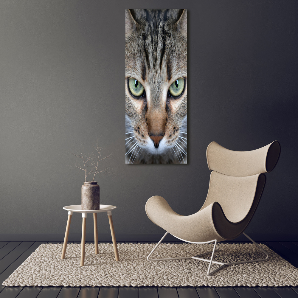 Tableau sur verre acrylique Yeux d'un chat