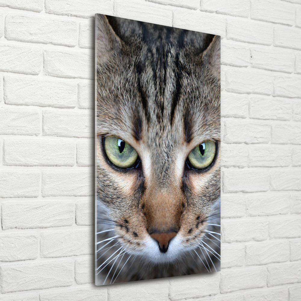 Tableau sur verre acrylique Yeux d'un chat