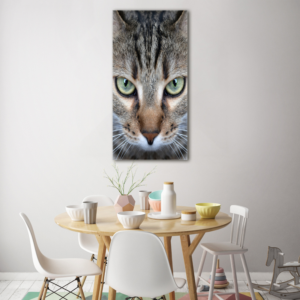 Tableau sur verre acrylique Yeux d'un chat