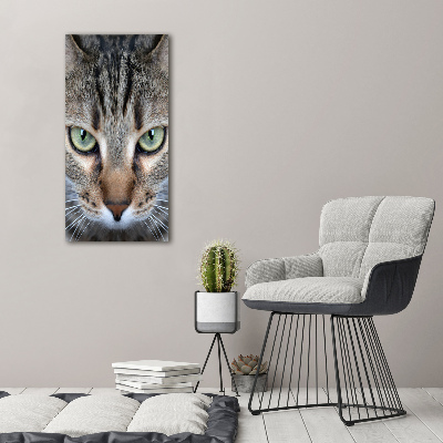 Tableau sur verre acrylique Yeux d'un chat