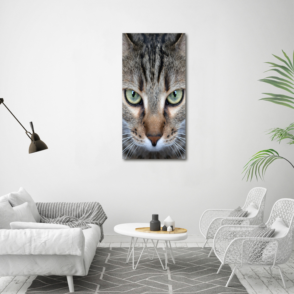 Tableau sur verre acrylique Yeux d'un chat