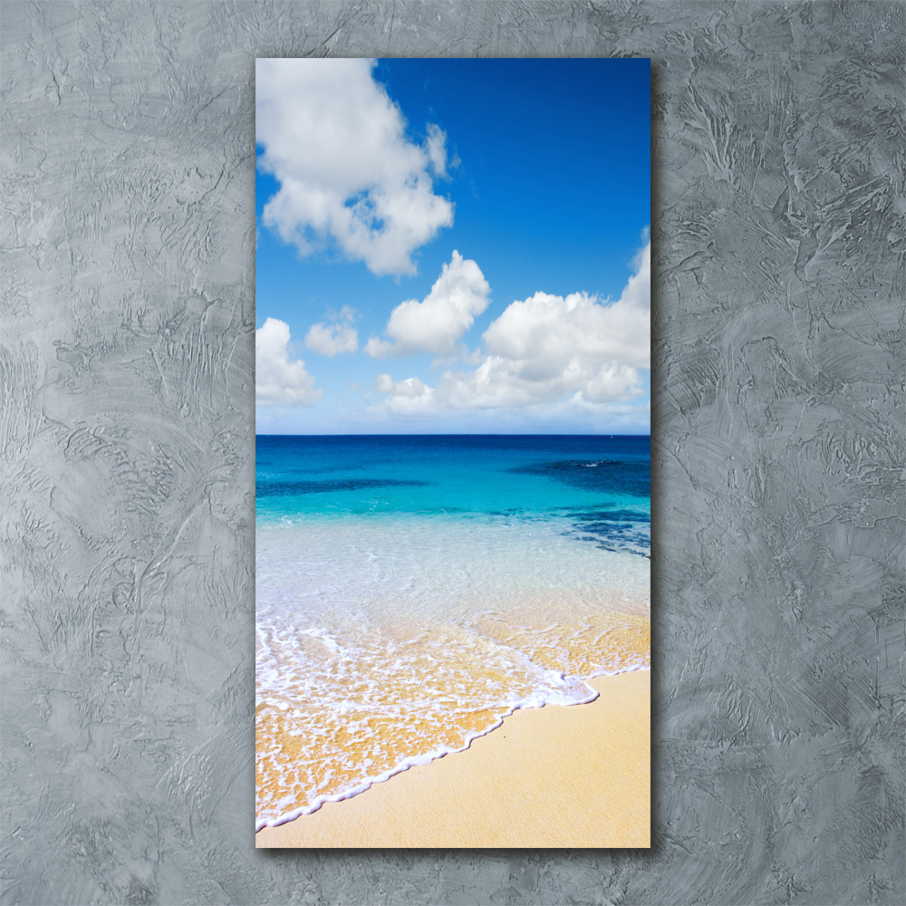 Acrylique tableau Plage tropicale ocean