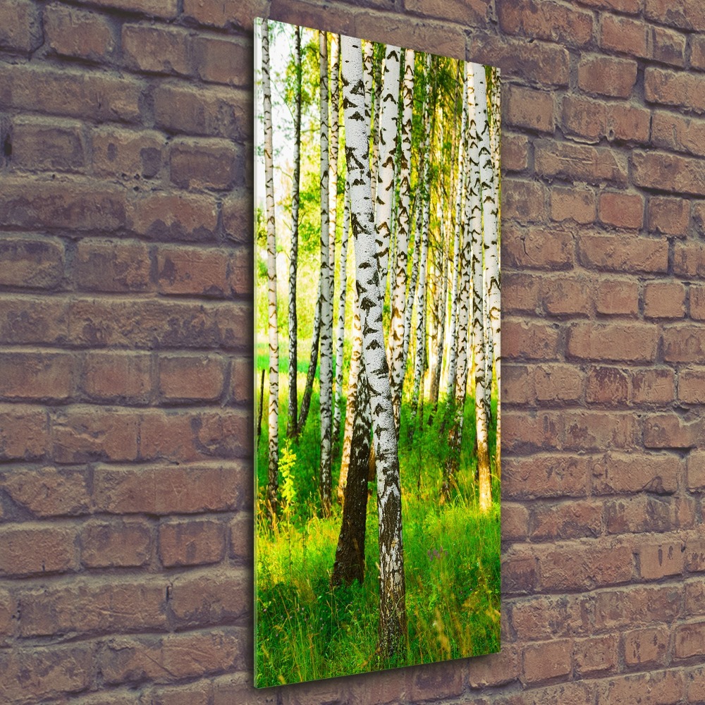 Tableau en acrylique Forêt de bouleaux