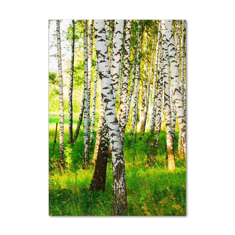 Tableau en acrylique Forêt de bouleaux