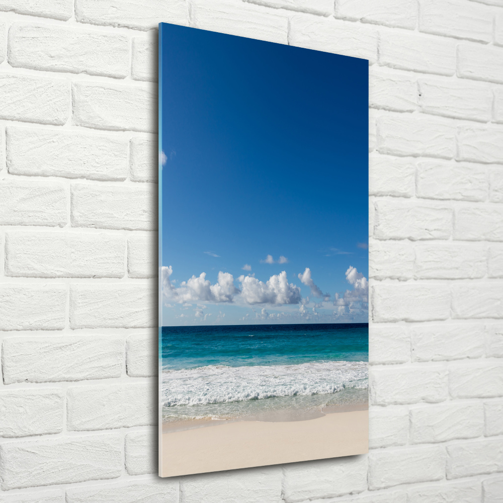 Tableau verre acrylique Plage exotique