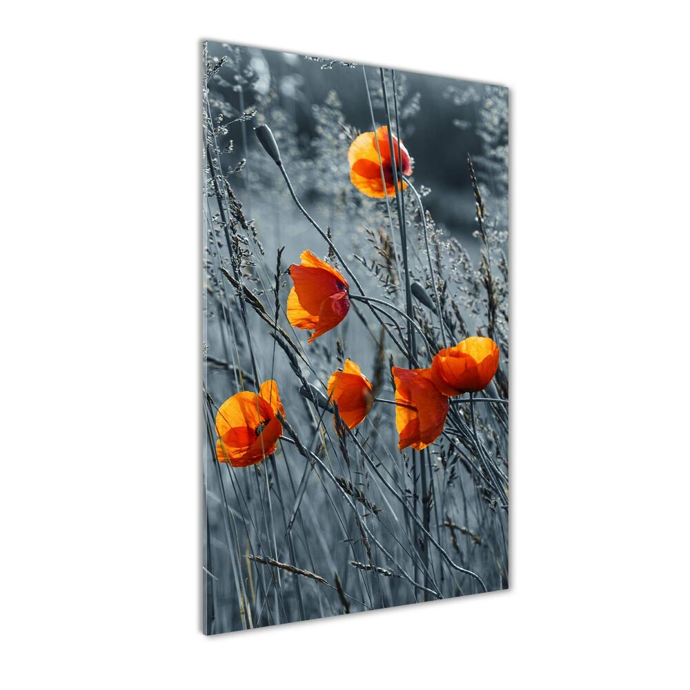 Acrylique tableau Coquelicots des champs