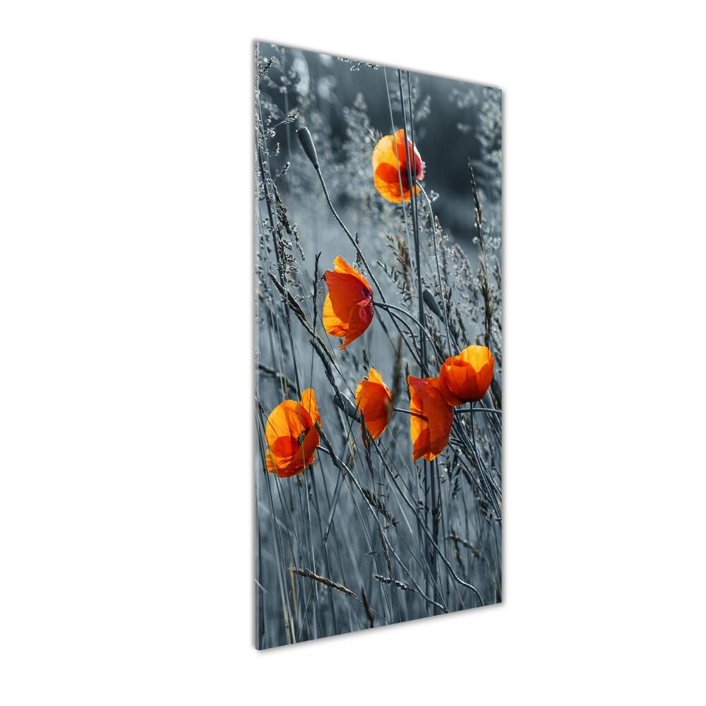 Acrylique tableau Coquelicots des champs