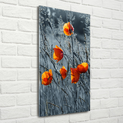 Acrylique tableau Coquelicots des champs