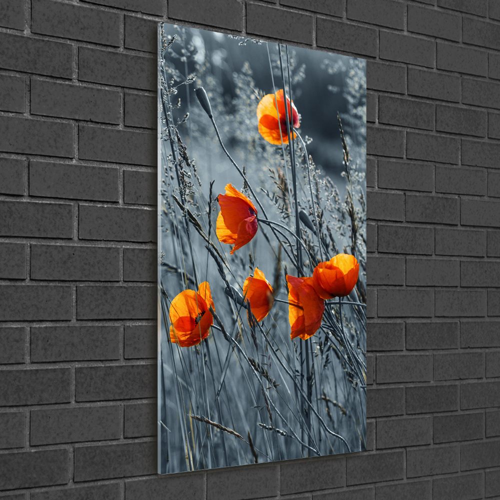 Acrylique tableau Coquelicots des champs