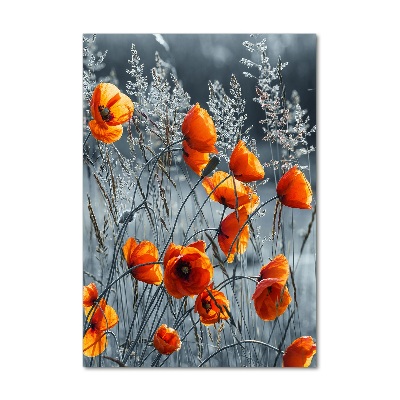 Acrylique tableau Coquelicots des champs