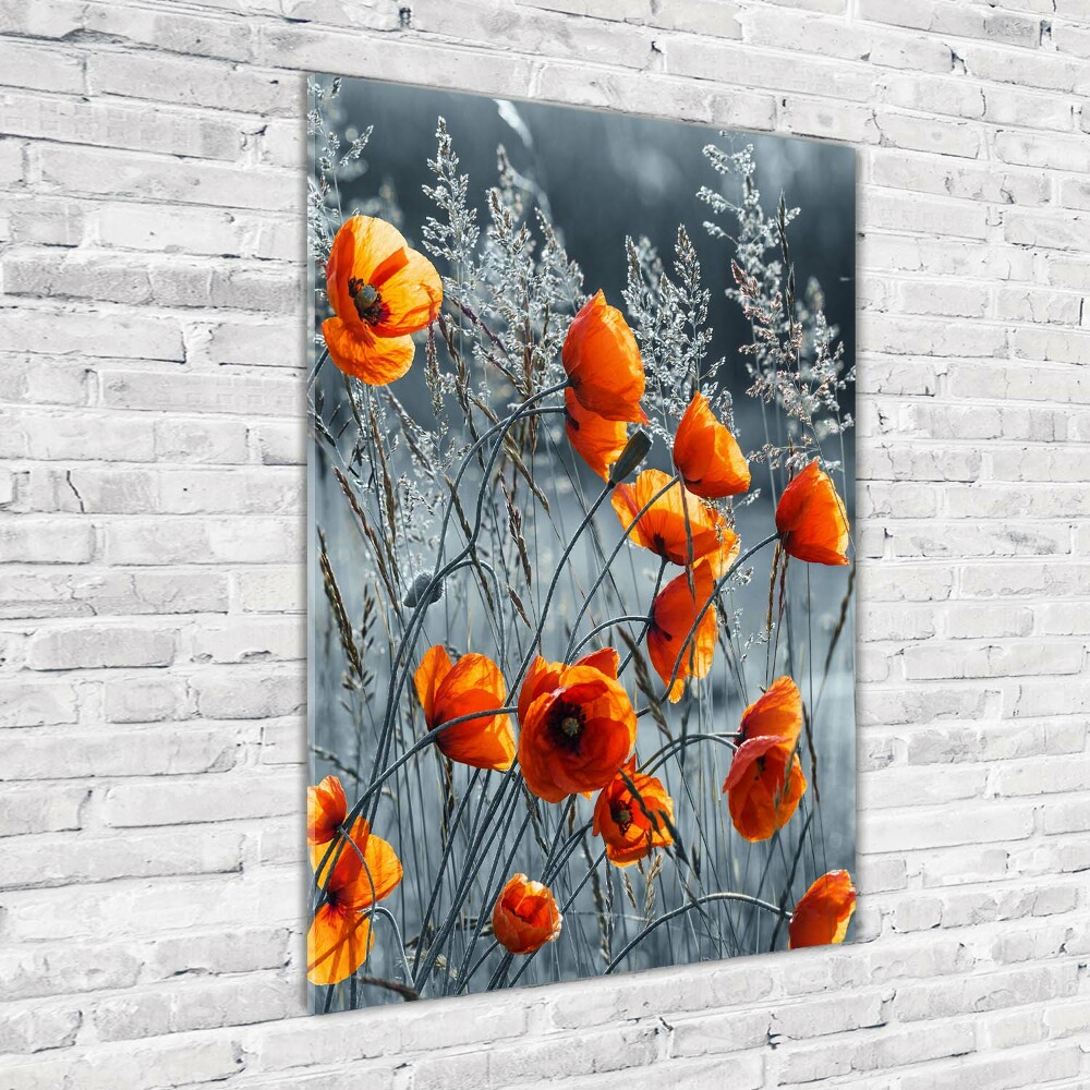 Acrylique tableau Coquelicots des champs