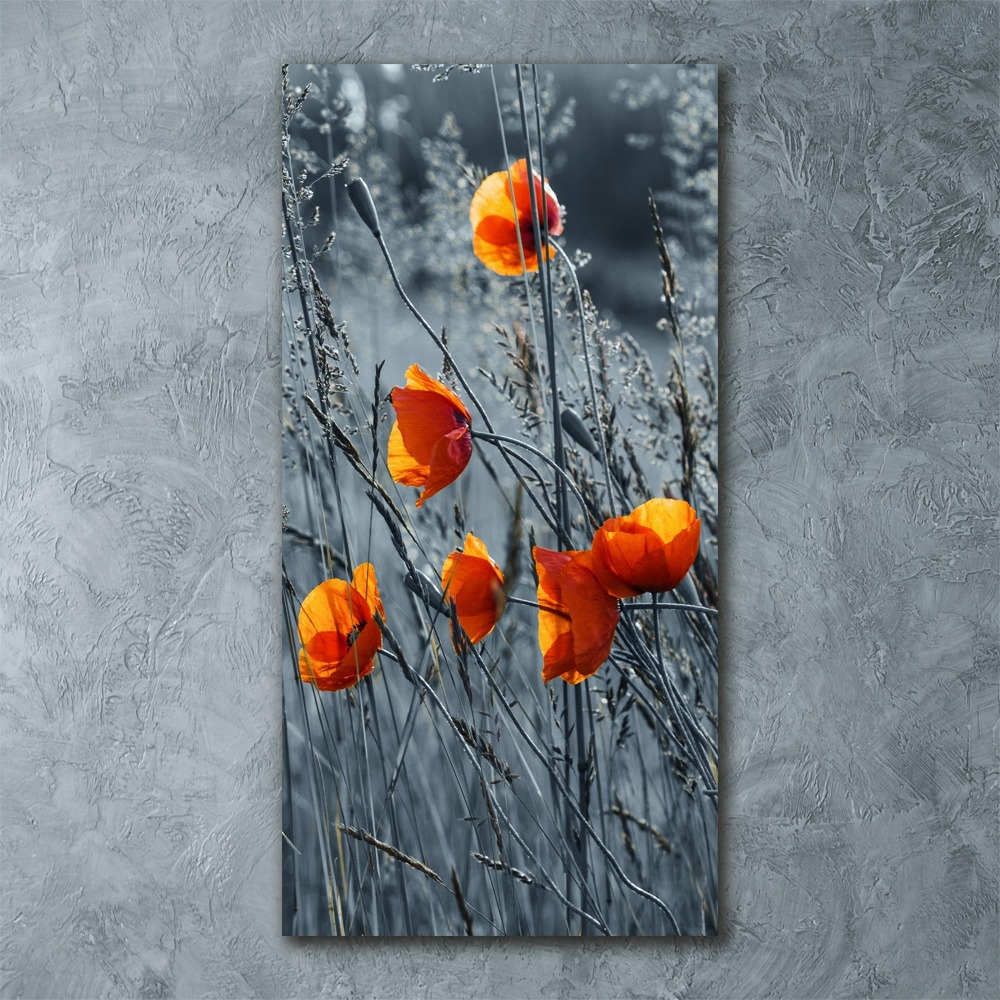 Acrylique tableau Coquelicots des champs