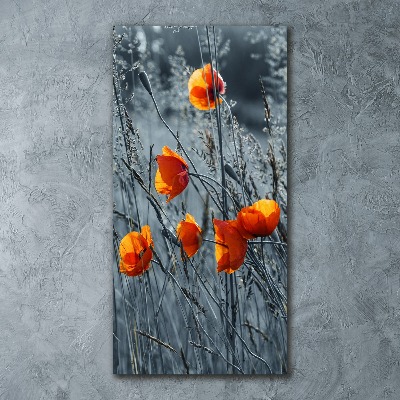 Acrylique tableau Coquelicots des champs