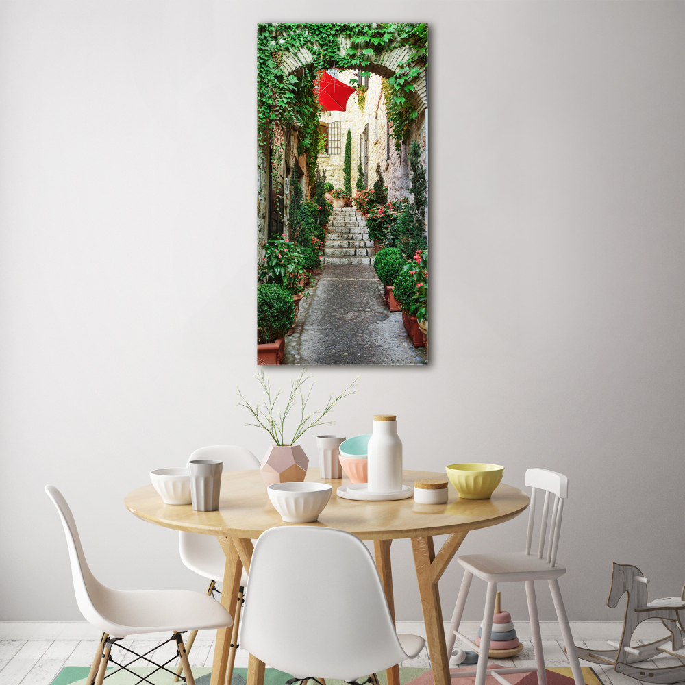 Tableau verre acrylique Ruelles France