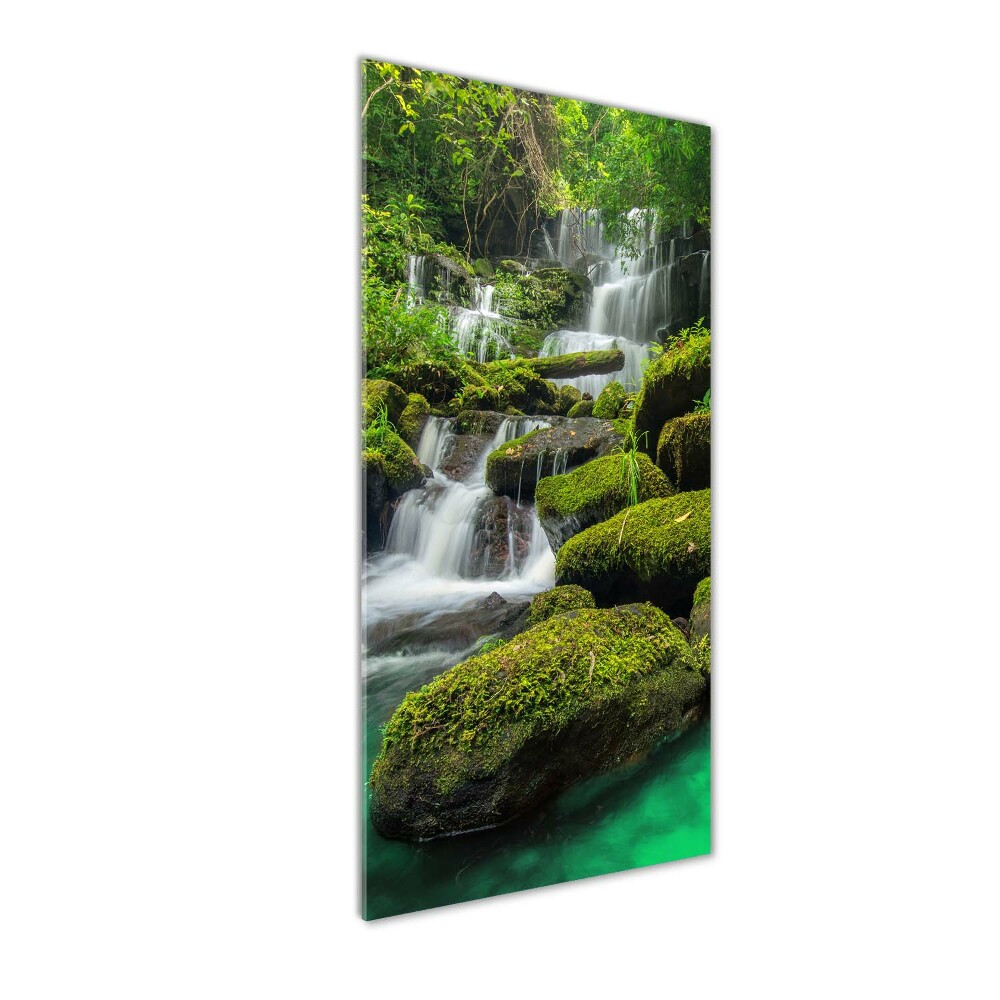 Tableau sur verre acrylique Chute d'eau dans la jungle