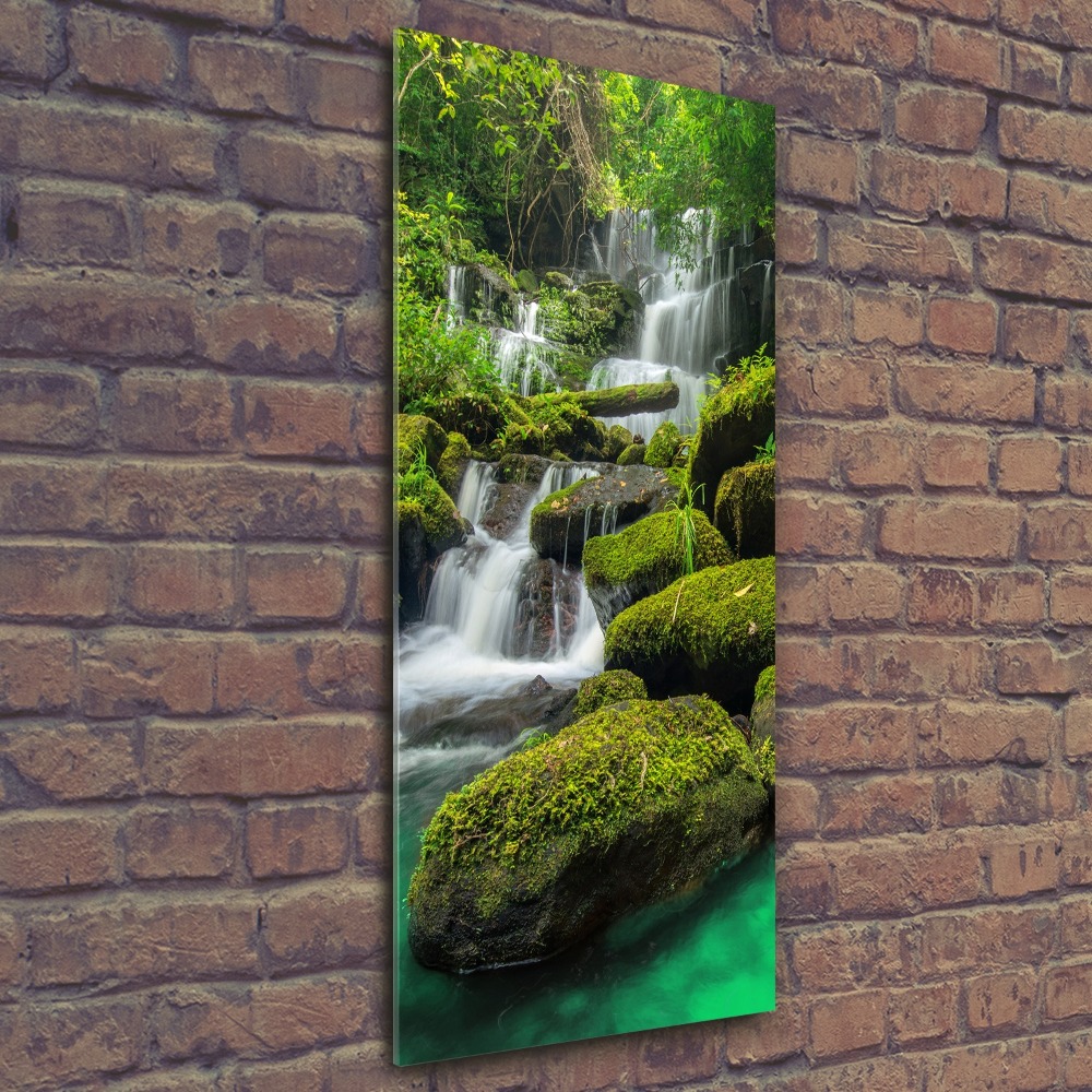 Tableau sur verre acrylique Chute d'eau dans la jungle