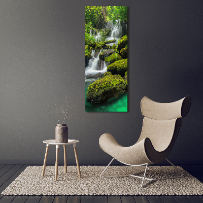 Tableau sur verre acrylique Chute d'eau dans la jungle