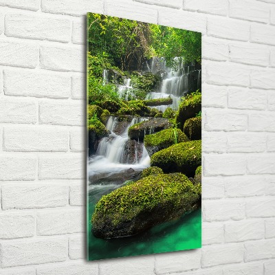 Tableau sur verre acrylique Chute d'eau dans la jungle