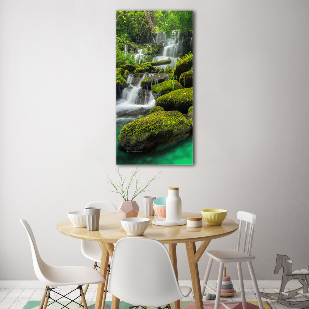 Tableau sur verre acrylique Chute d'eau dans la jungle