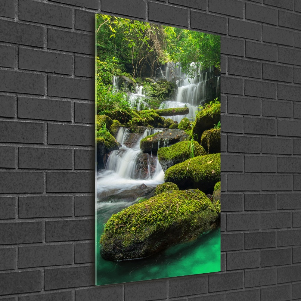 Tableau sur verre acrylique Chute d'eau dans la jungle