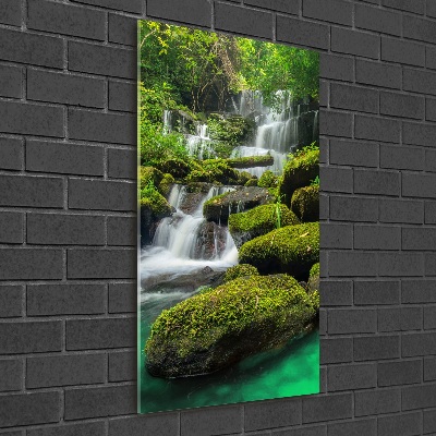 Tableau sur verre acrylique Chute d'eau dans la jungle