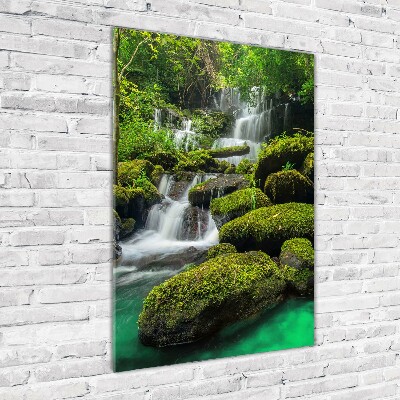 Tableau sur verre acrylique Chute d'eau dans la jungle