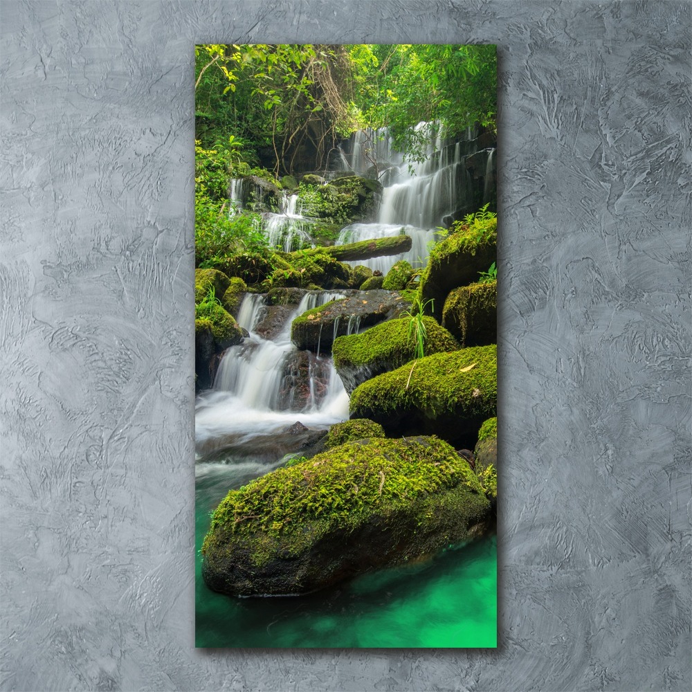 Tableau sur verre acrylique Chute d'eau dans la jungle