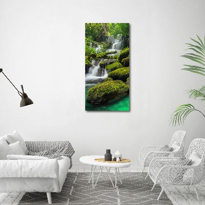 Tableau sur verre acrylique Chute d'eau dans la jungle