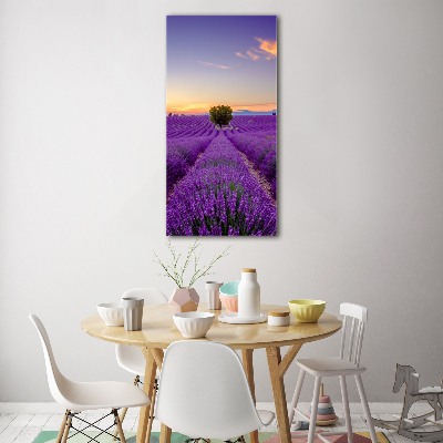 Acrylique tableau Champ de lavande violette