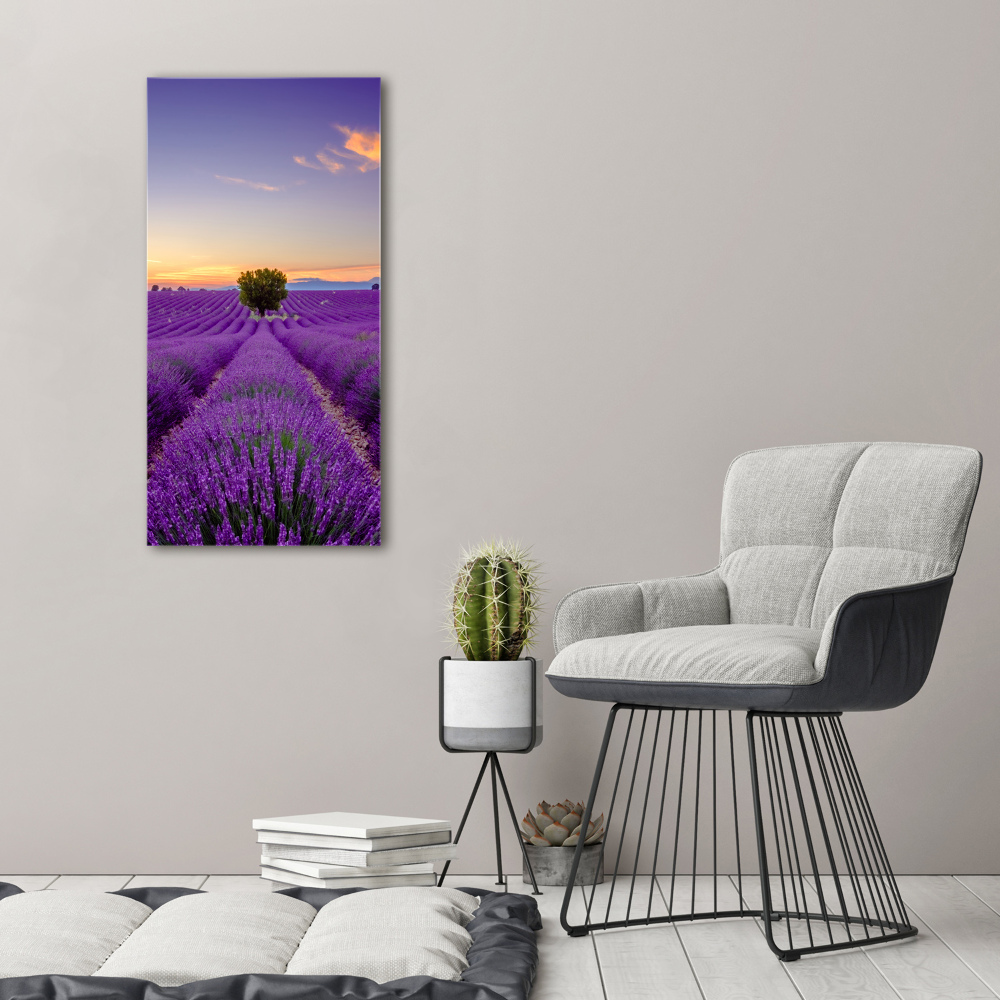 Acrylique tableau Champ de lavande violette