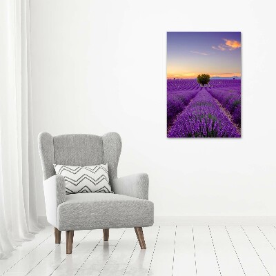 Acrylique tableau Champ de lavande violette