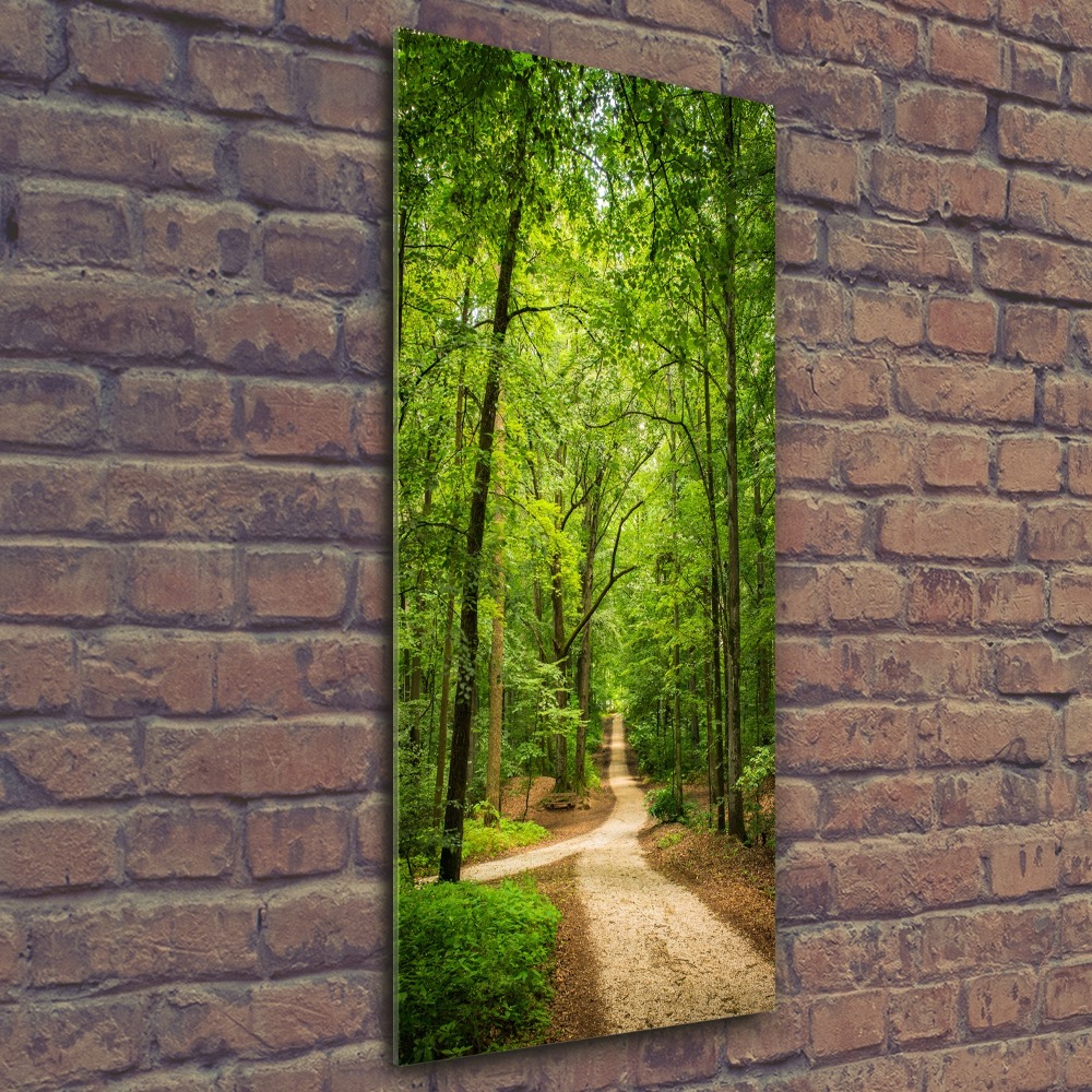 Tableau sur verre acrylique Chemin dans la forêt