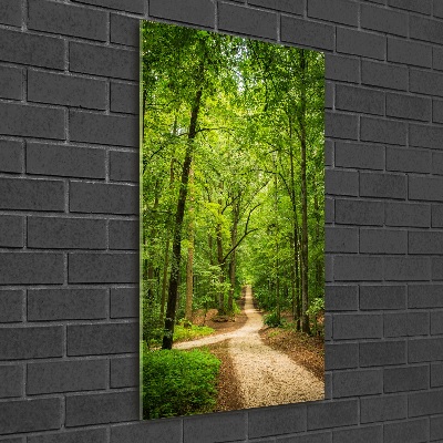 Tableau sur verre acrylique Chemin dans la forêt