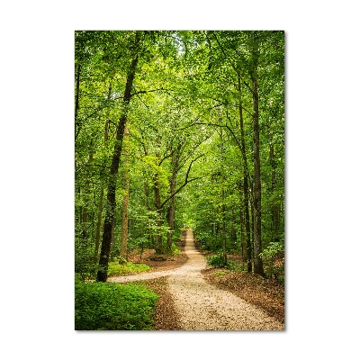 Tableau sur verre acrylique Chemin dans la forêt