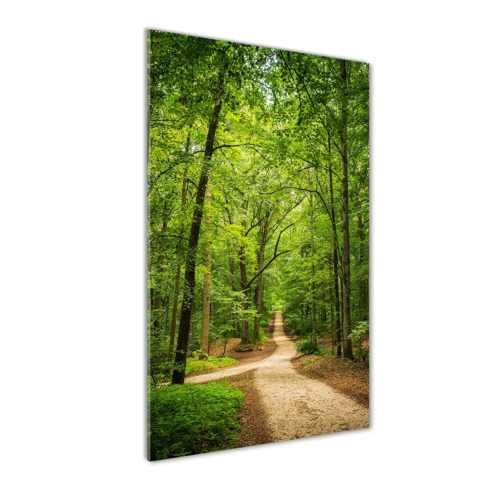 Tableau sur verre acrylique Chemin dans la forêt