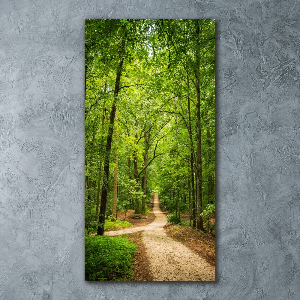 Tableau sur verre acrylique Chemin dans la forêt