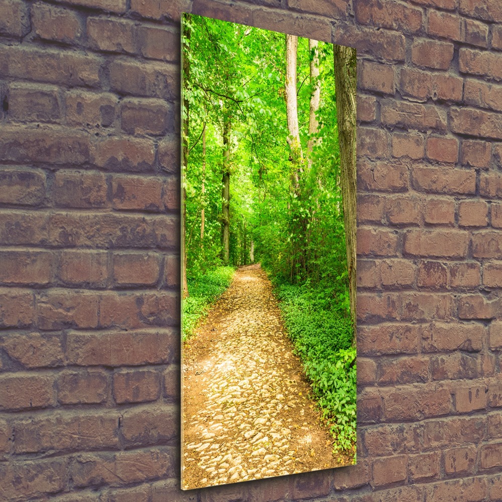 Tableau verre acrylique Sentier dans la forêt