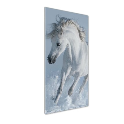 Tableau verre acrylique Cheval blanc au galop