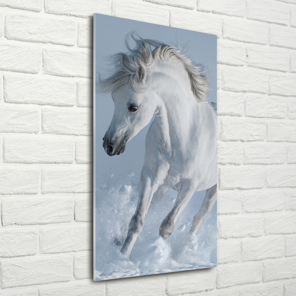 Tableau verre acrylique Cheval blanc au galop