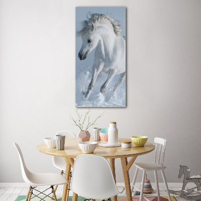 Tableau verre acrylique Cheval blanc au galop