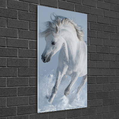 Tableau verre acrylique Cheval blanc au galop