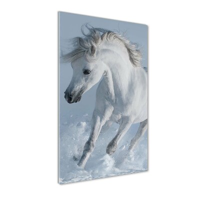 Tableau verre acrylique Cheval blanc au galop