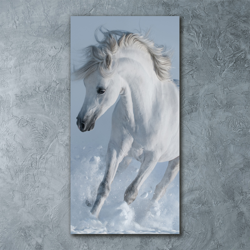 Tableau verre acrylique Cheval blanc au galop