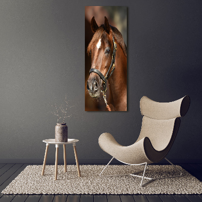 Tableau acrylique Portrait d'un cheval