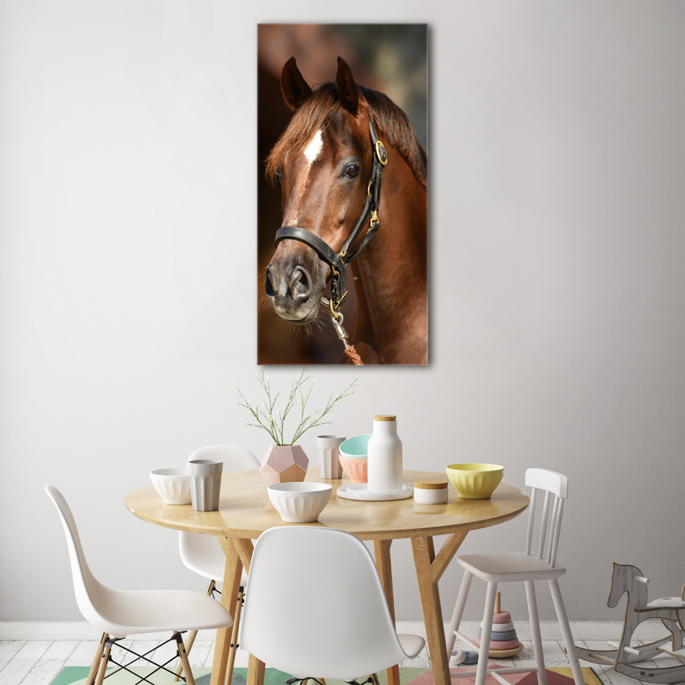 Tableau acrylique Portrait d'un cheval