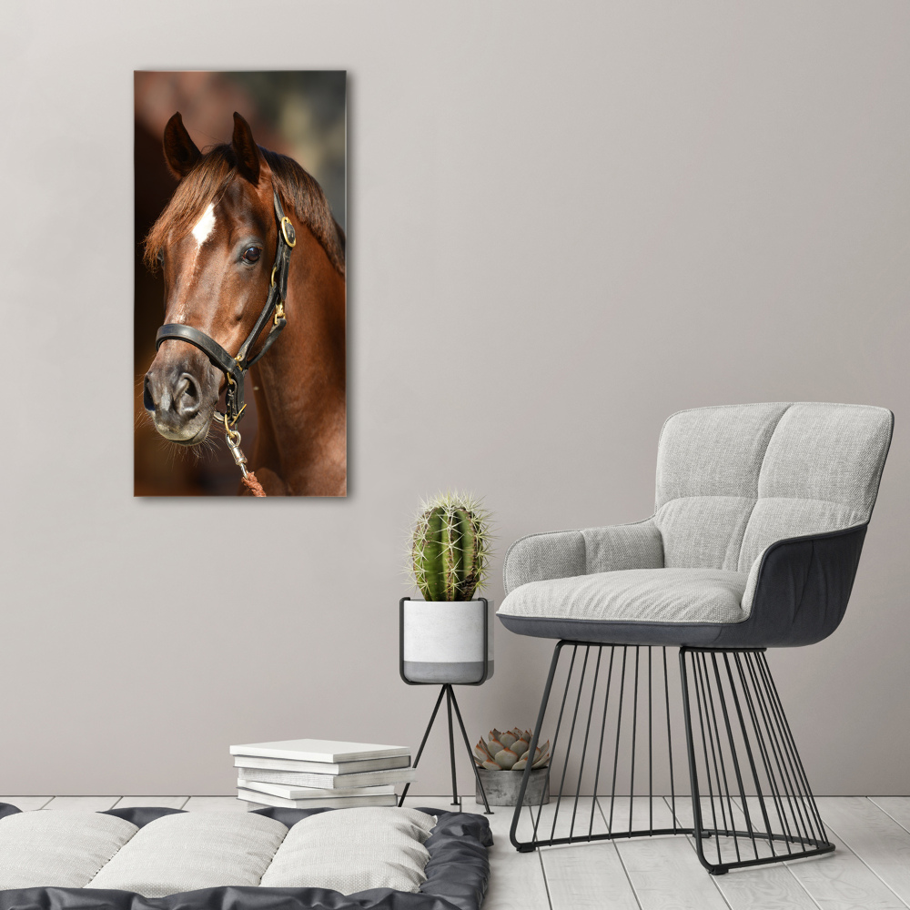 Tableau acrylique Portrait d'un cheval