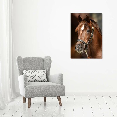 Tableau acrylique Portrait d'un cheval