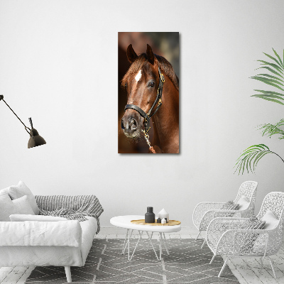 Tableau acrylique Portrait d'un cheval